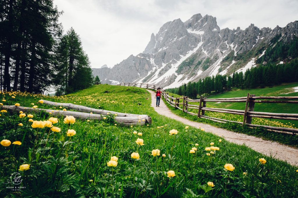 Prati di Croda Rossa, Sesto Dolomites, Italy