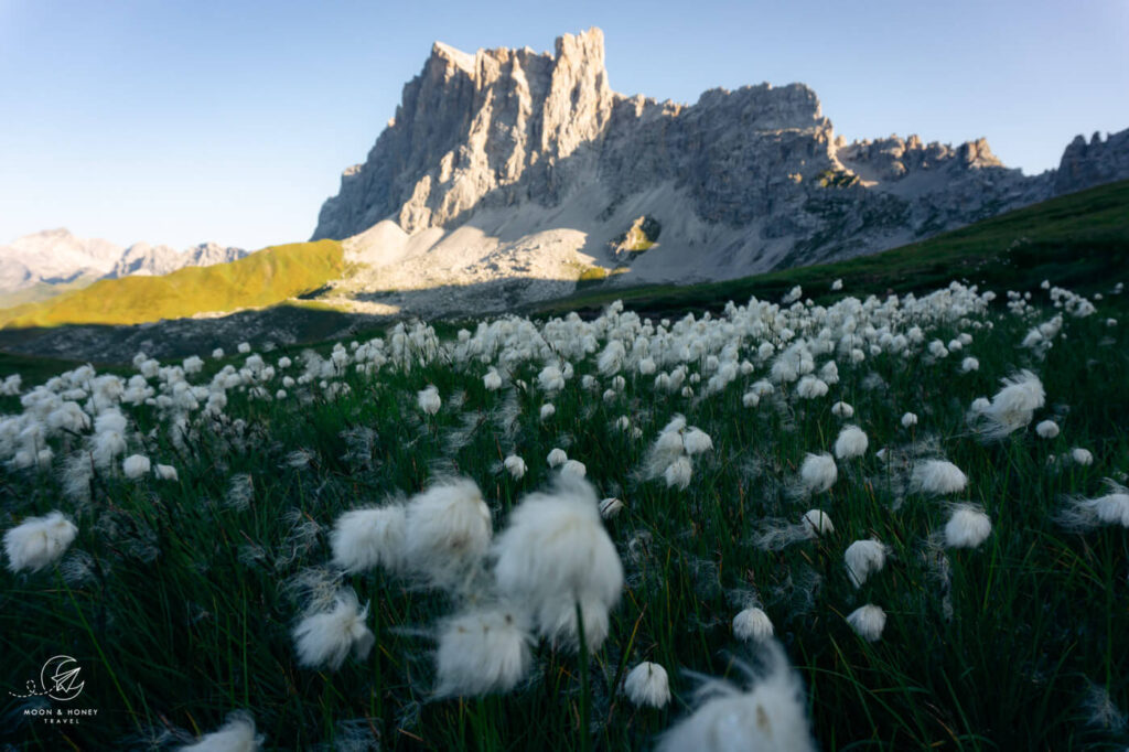 Rätikon Alps Circuit Trail, Austrian Alps and Swiss Alps