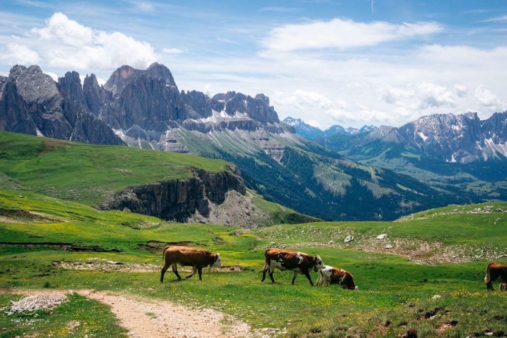 Sciliar / Schlern Plateau, Dolomites