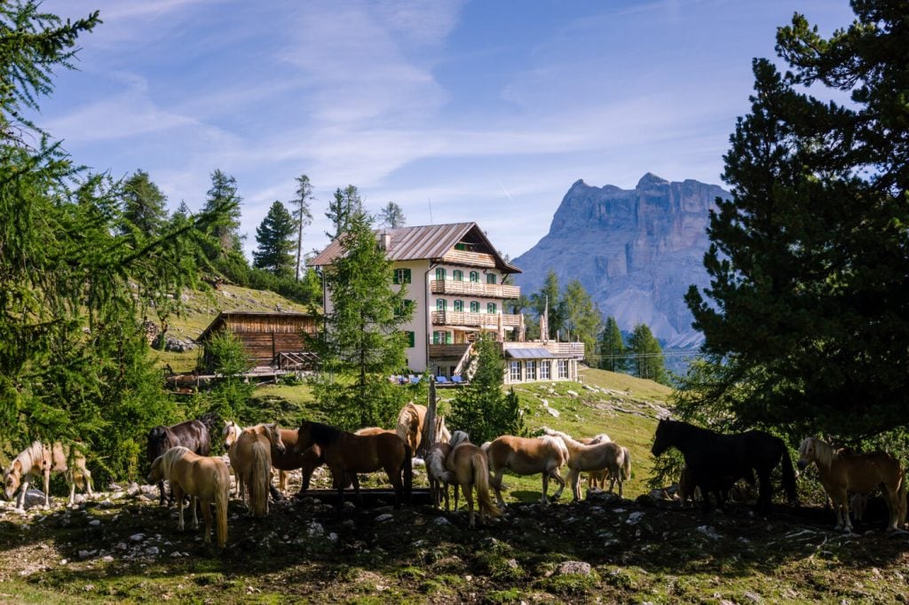 Gardenacia Hütte, Alta Badia Day Hike