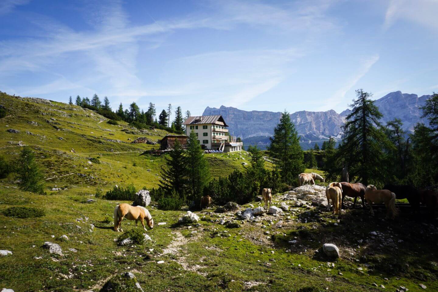 Rifugio Gardenacia Puez-Odle Day Hike, La Villa to Colf