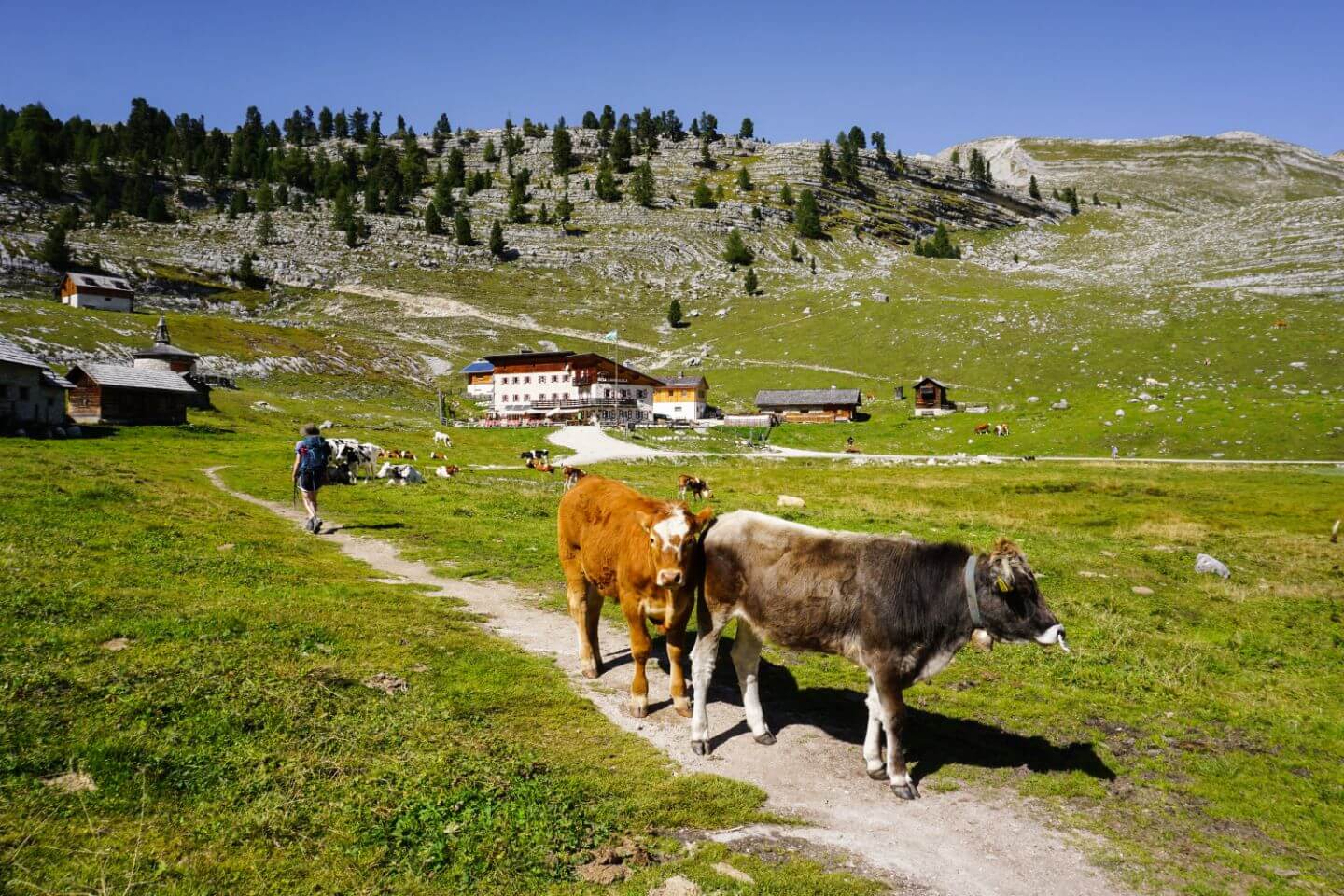 Lavarella Hütte, Dolomites Day Hike