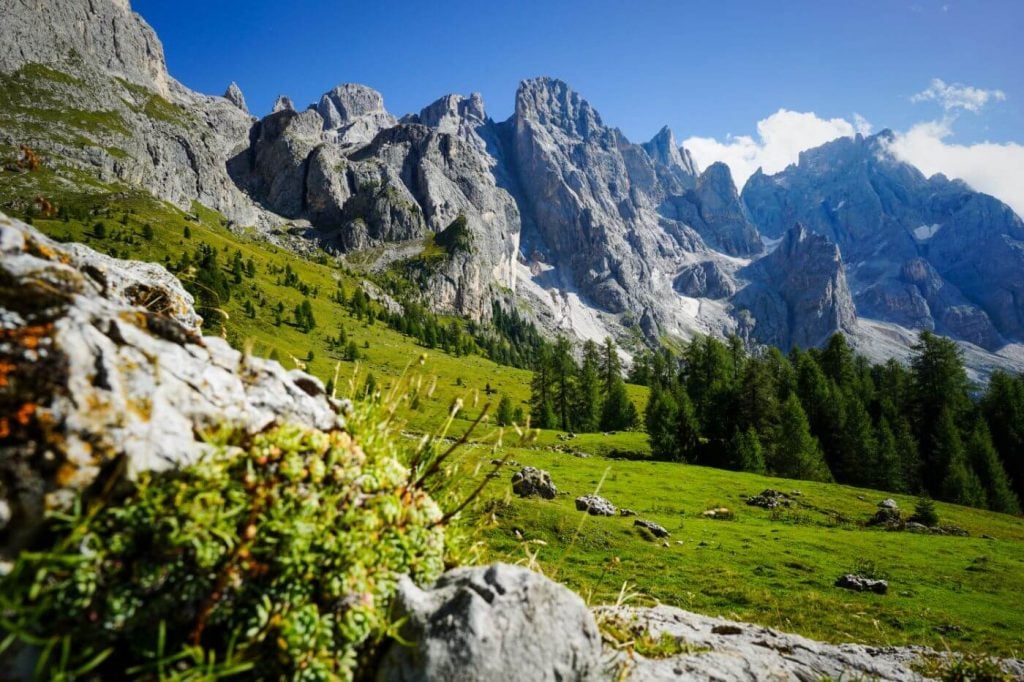 Trail 751, Pale di San Martino