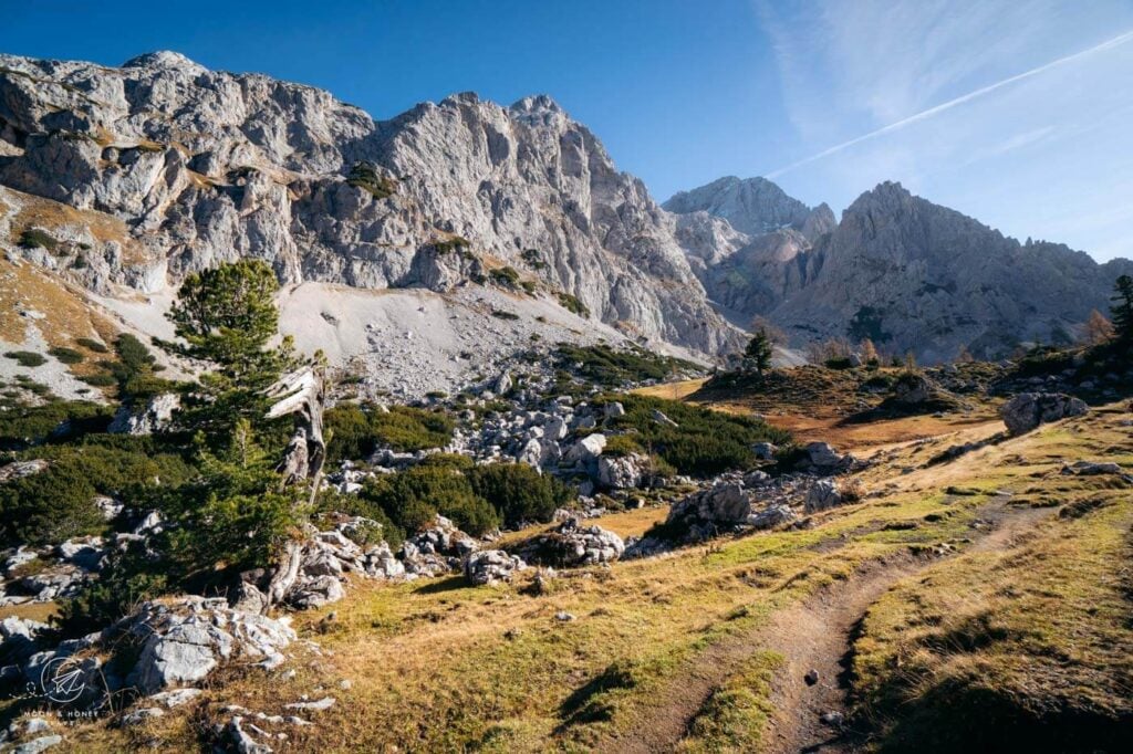 Rinderfeld, Dachstein, Salzburg, Austria