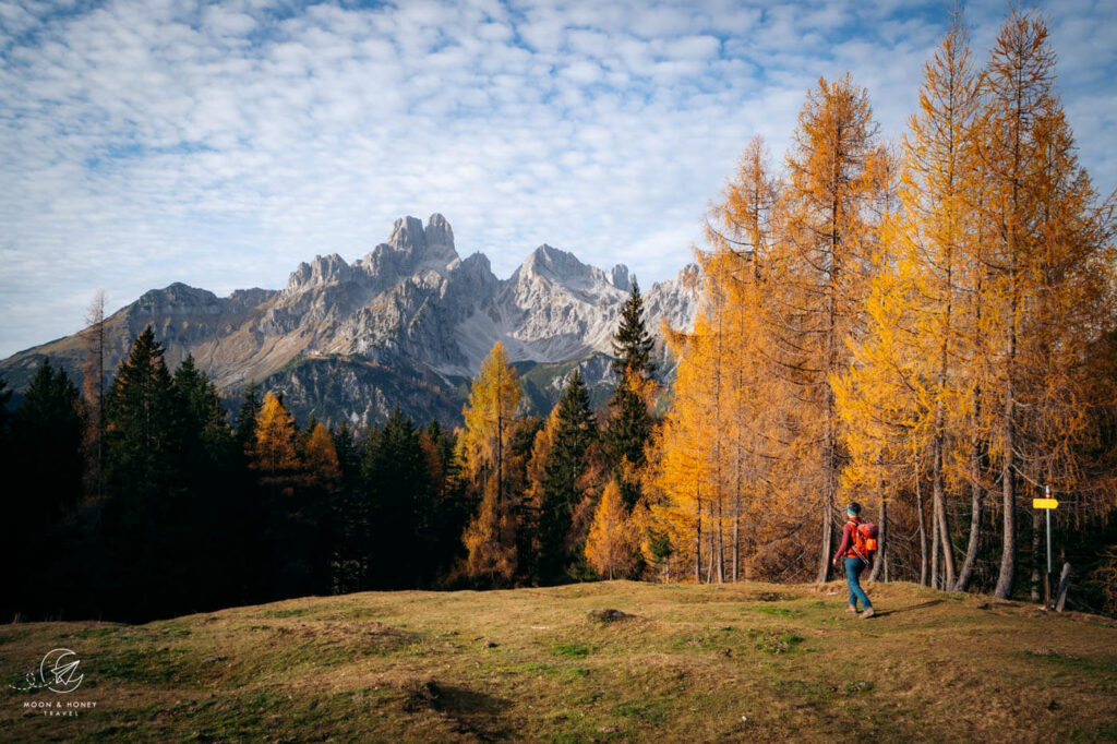 Mandlinghofalm, Filzmoos, Austria