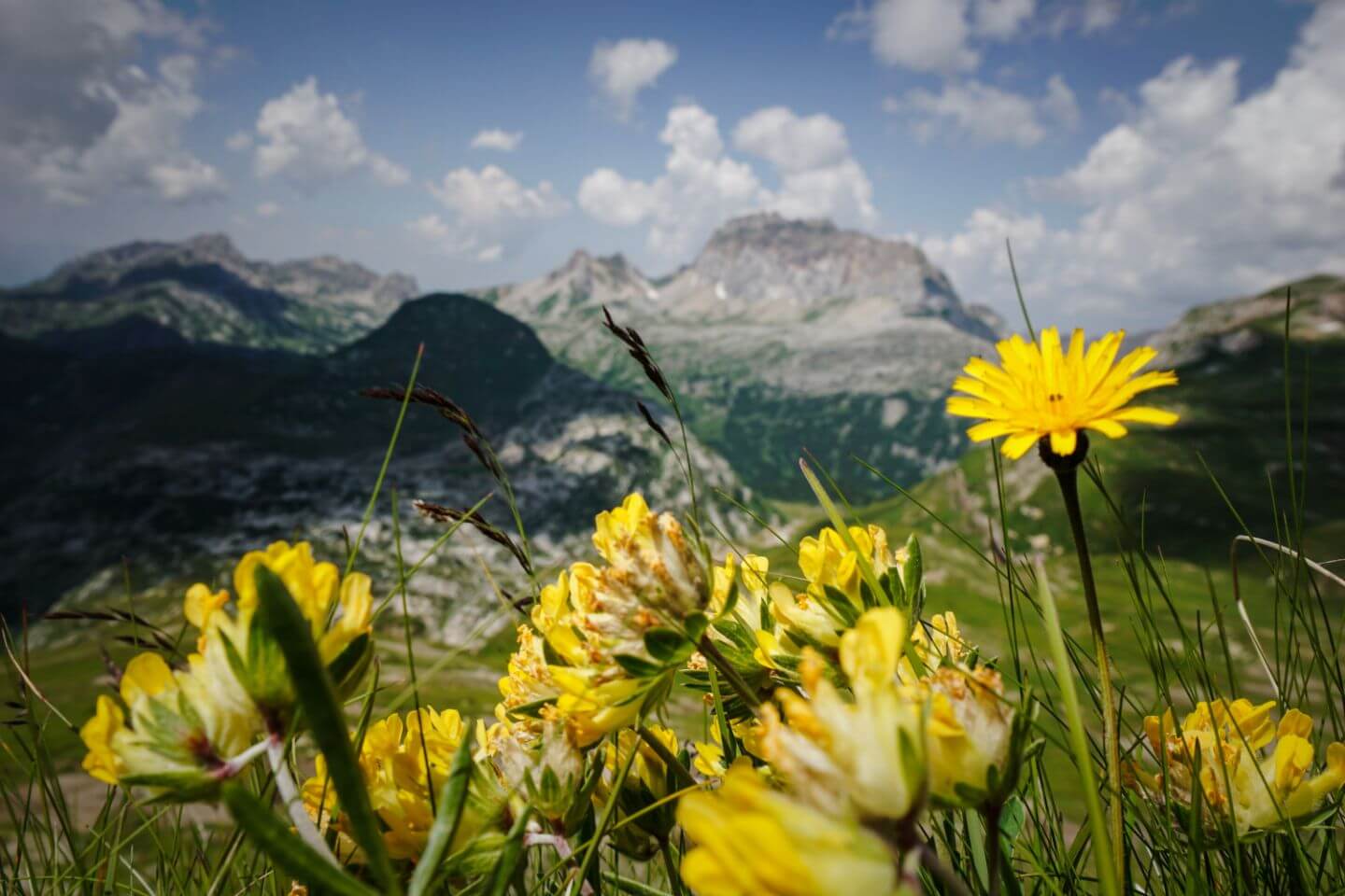 Rote Wand, Lechquellen Mountains, Day Hike Lech am Arlberg