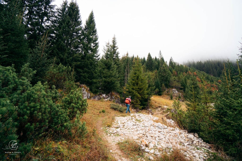 Rigeleweg Hiking Trail, Wetterstein Mountains, Tyrol, Austria