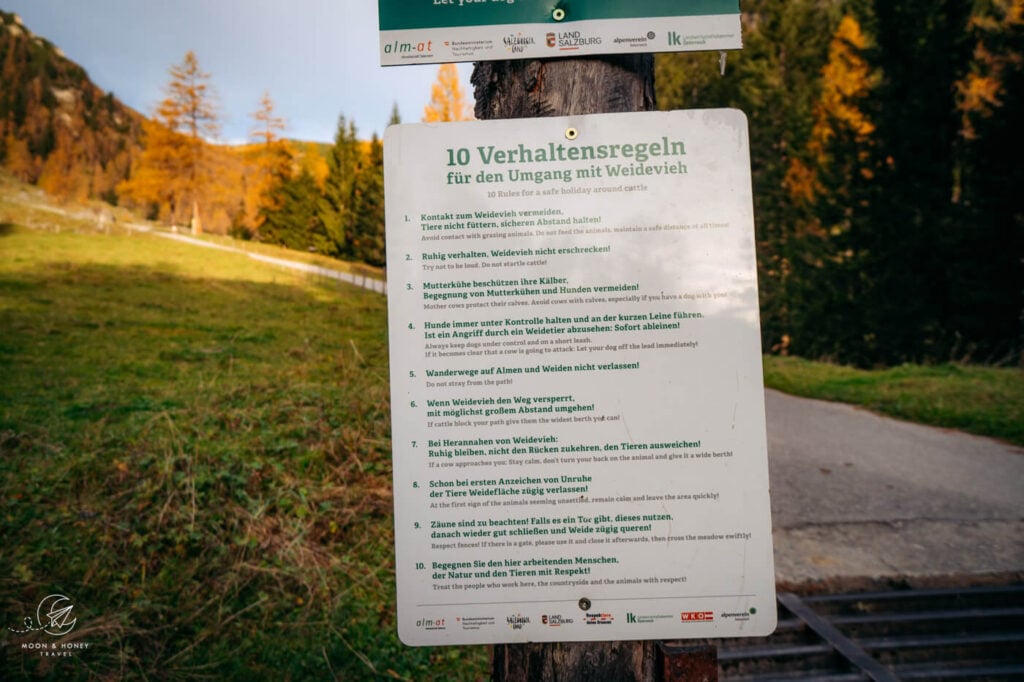 Salzburg Alpine Pasture Rules, Austria