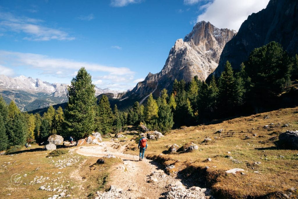 Rifugio Sasso Piatto to Rifugio Vicenza Hiking Trail, Dolomites