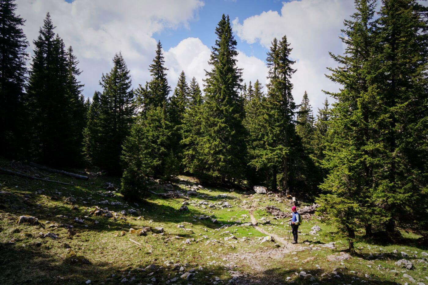 Schneeberg Wanderung, Wiener Alpen, Österreich