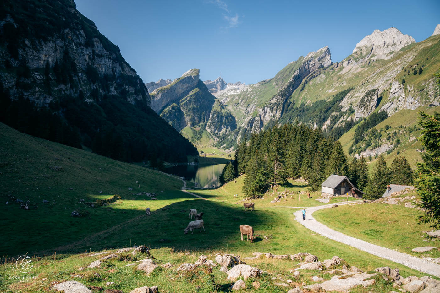 Seealpsee in Appenzell, Switzerland: 3 Beautiful Hiking Trails