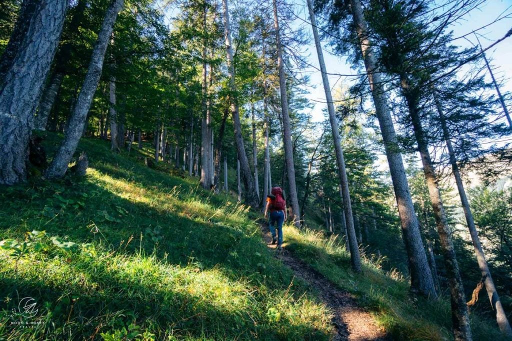 Seekaralm hiking trail, Achenkirch, Tyrol, Austria