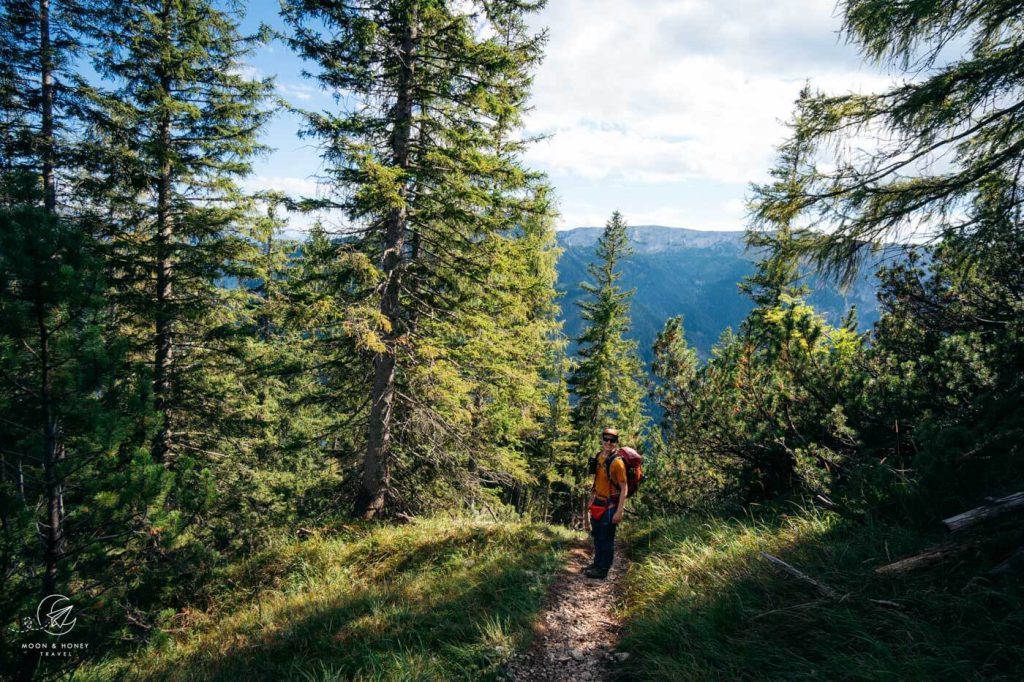 Seekarspitze to Pertisau forest trail, Lake Achen, Austria