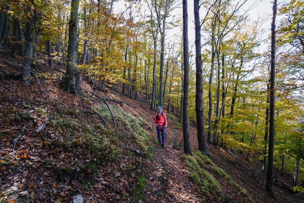 Seekopf Hirschwand Circuit Trail, Wachau, Austria