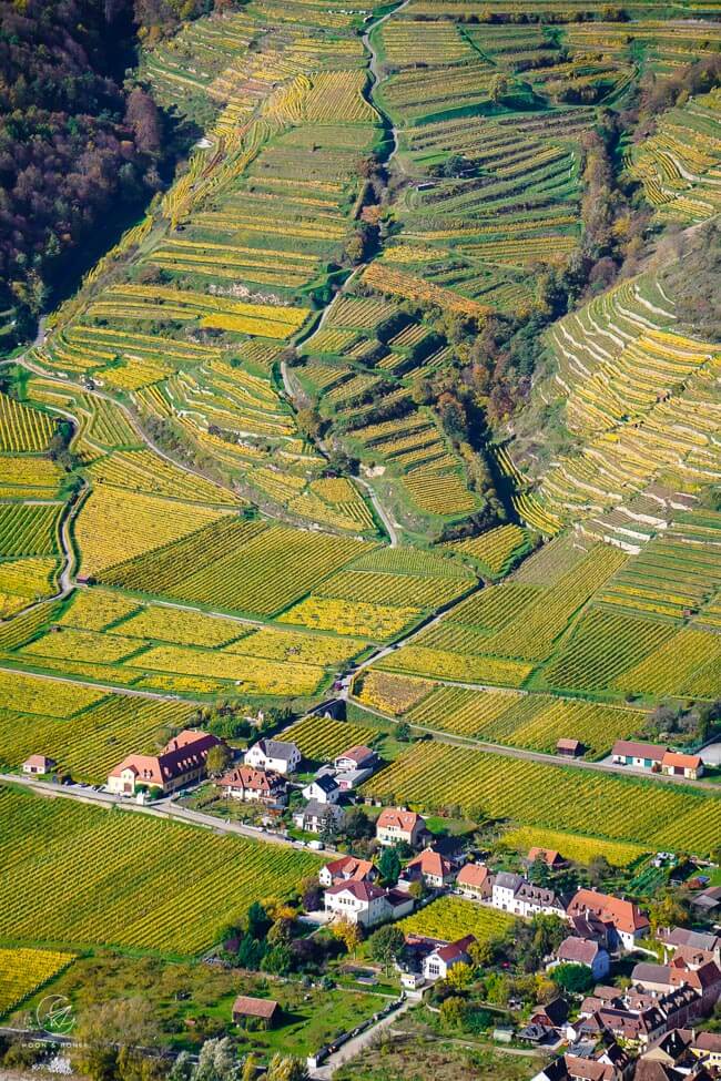 Seekopf Viewpoint of Wachau River Valley, Austria