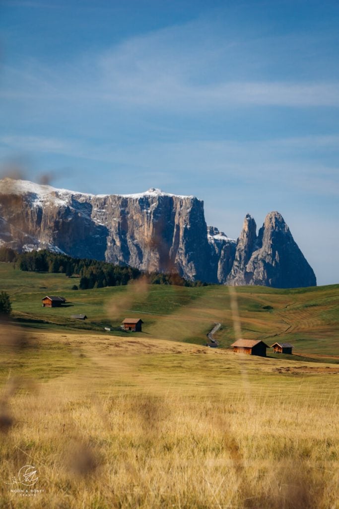 Alpe di Siusi to Monte Pana Hike, Dolomites