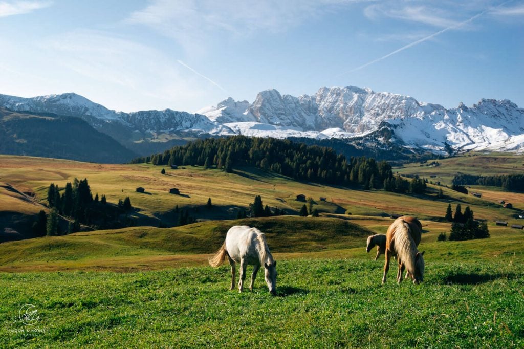 Catinaccio/Rosengarten Mountains, Alpe di Siusi Trail 9