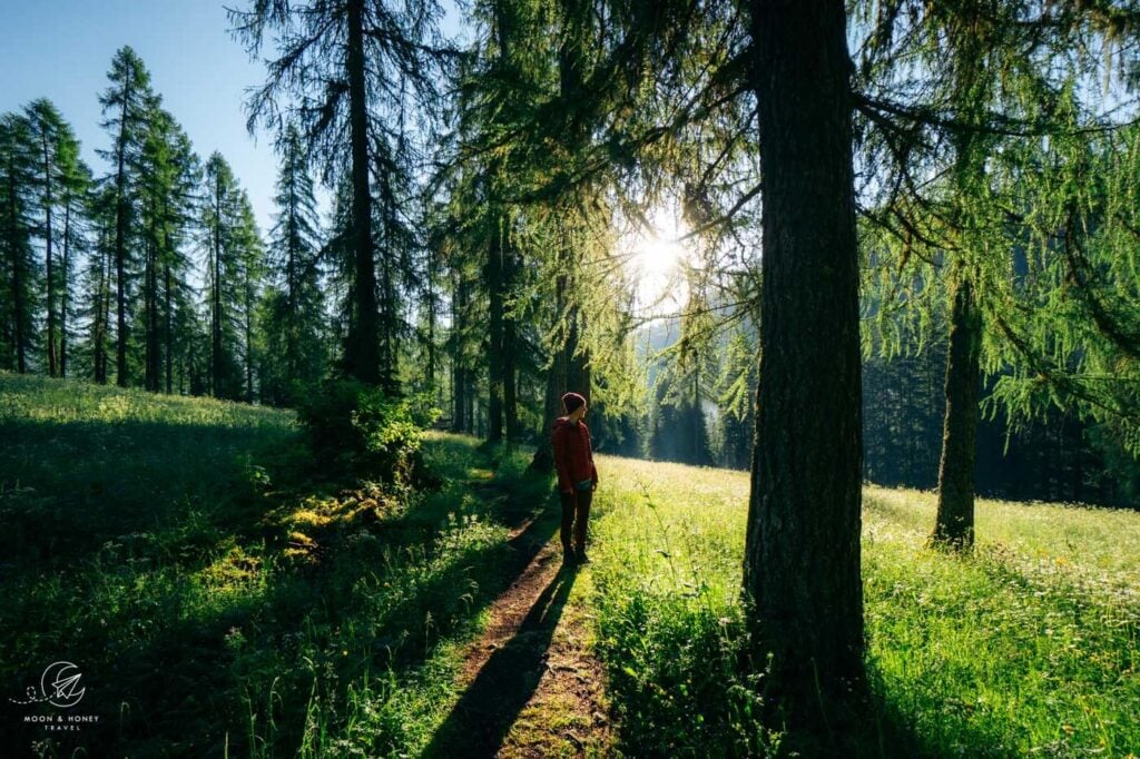 Sesto to Val Fiscalina walk, South Tyrol, Dolomites