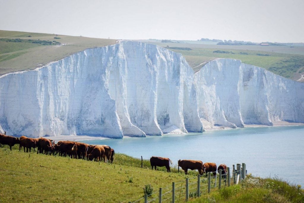 Seven Sisters Cliffs Walk, England