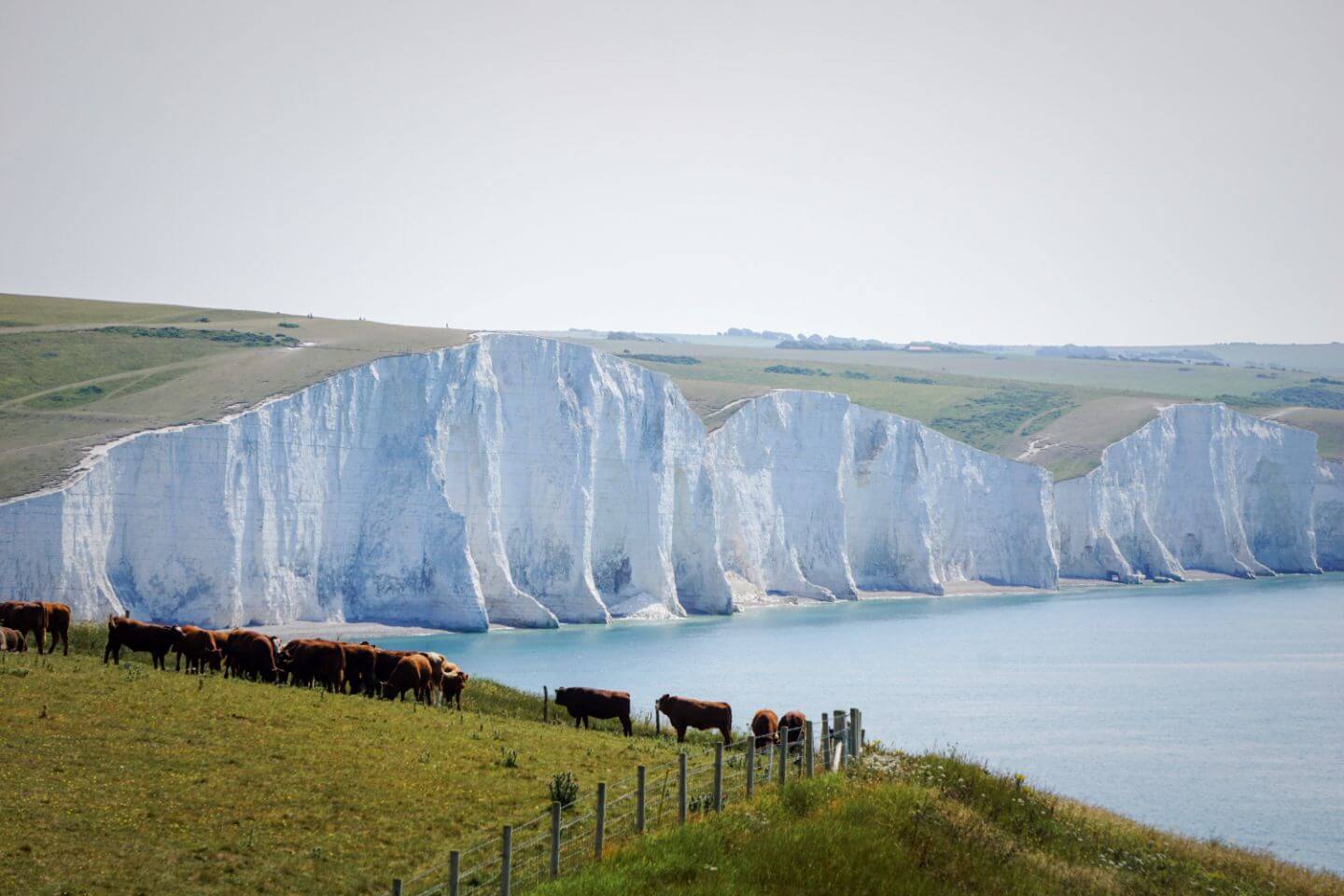 Seaford Head Nature Reserve, Seven Sisters Cliffs Walk, England