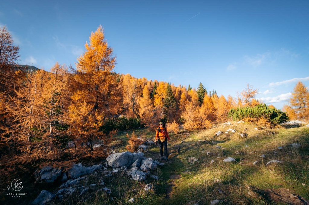 Slovenian Alps October larches