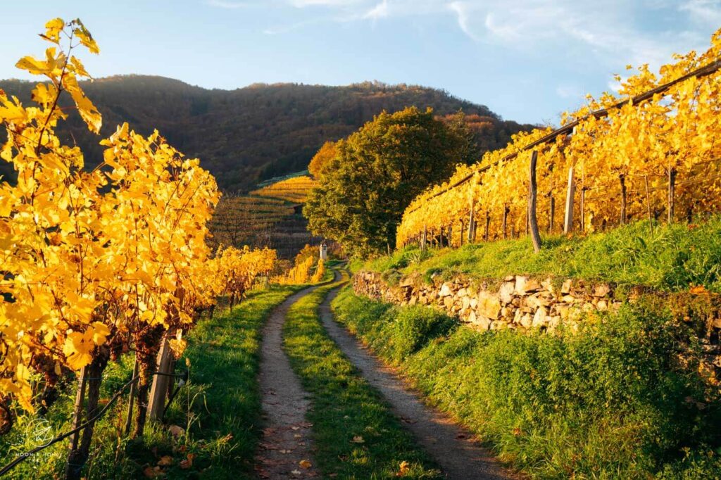 Spitz, Wachau Valley, Lower Austria