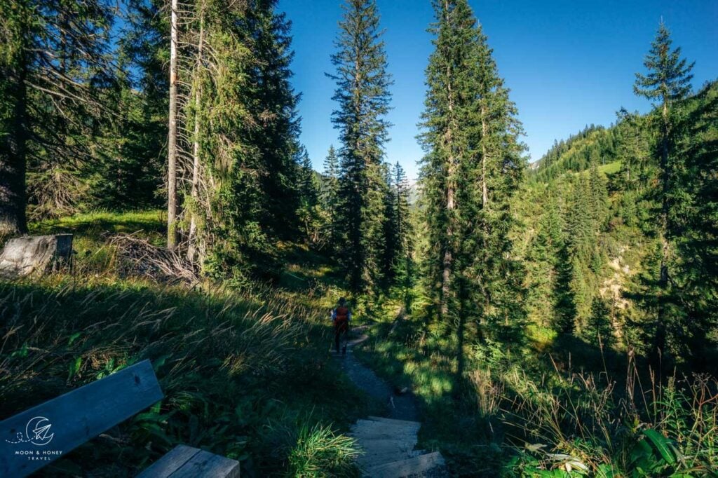 Zug forest trail, Lech am Arlberg, Austria