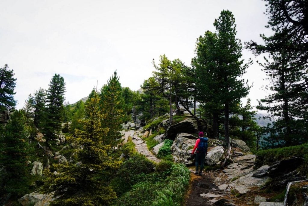 Stone Pine Trail (Zirbenweg), Easy hike above Innsbruck, Austria