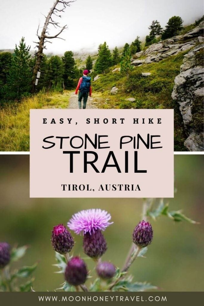 Stone Pine Path, Easy Kid-friendly Hike near Innsbruck, Austria