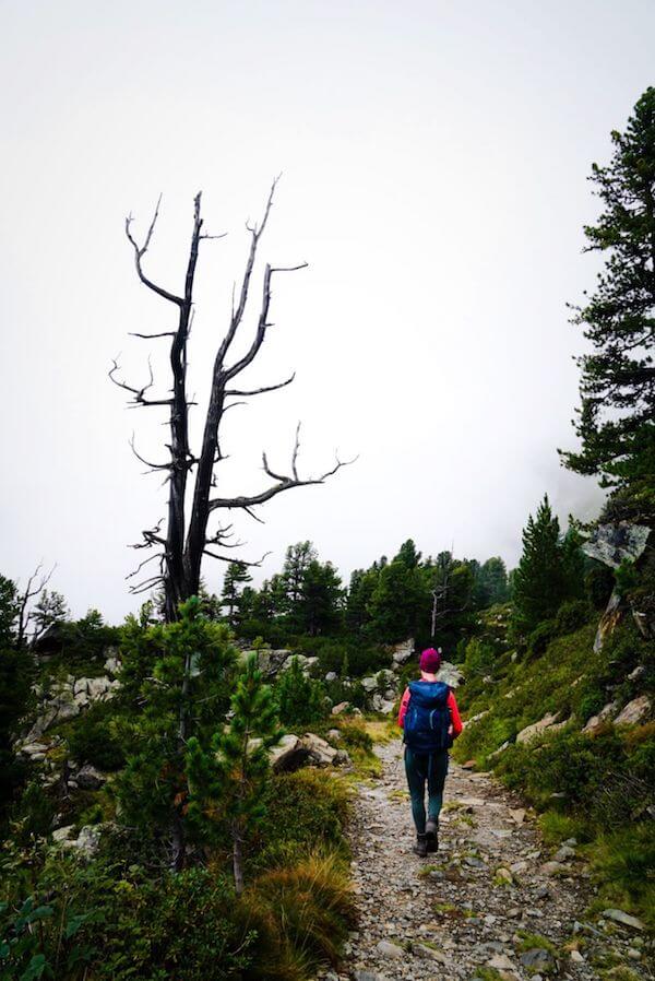 Stone Pine Trail, Tirol, Austria