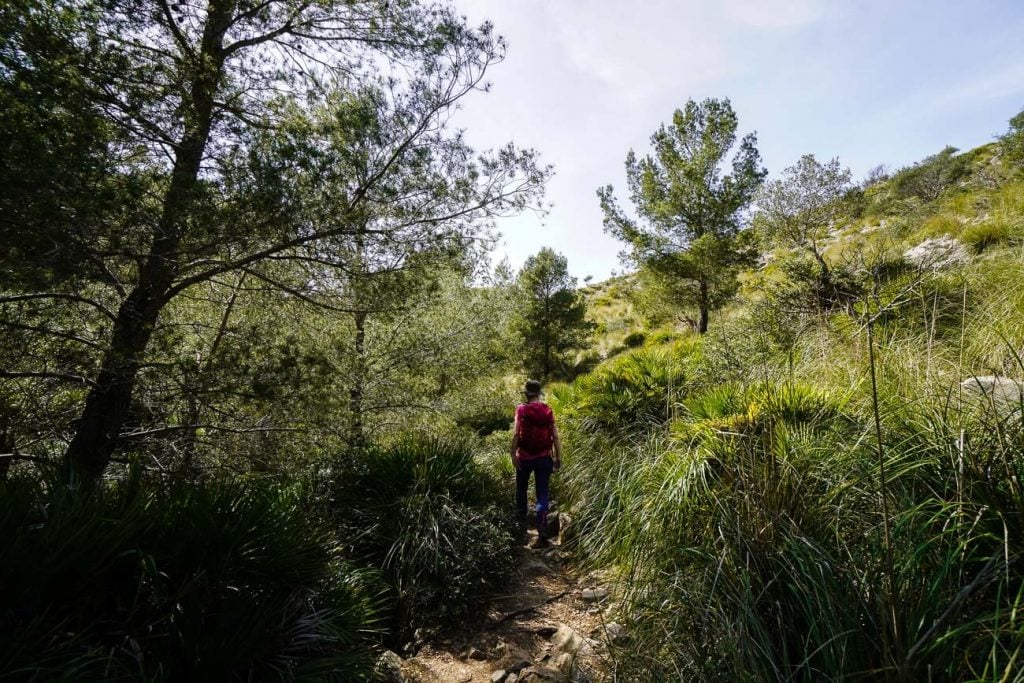 Collet des Coll Baix Refugi to Coll de na Benet, Mallorca