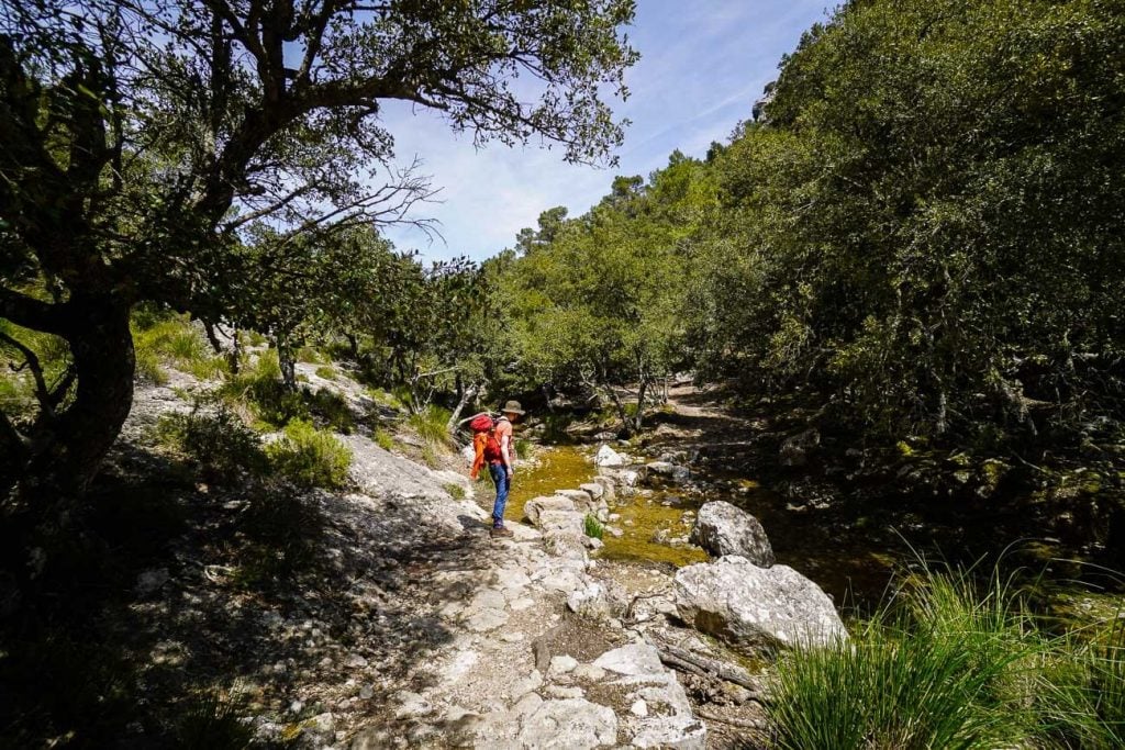 Torrent des Prat, Tossals Verds Circuit Trail, Mallorca