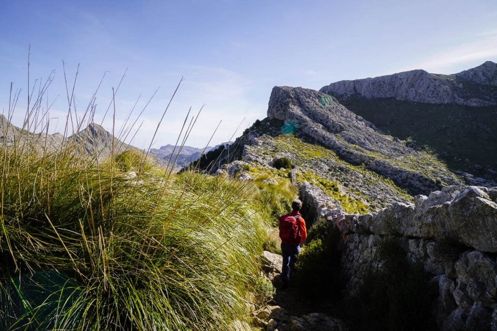 Coll de sa Coma des Ases, Mallorca