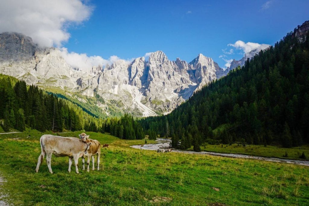 Val Venegia, Pale di San Martino, Italian Dolomites