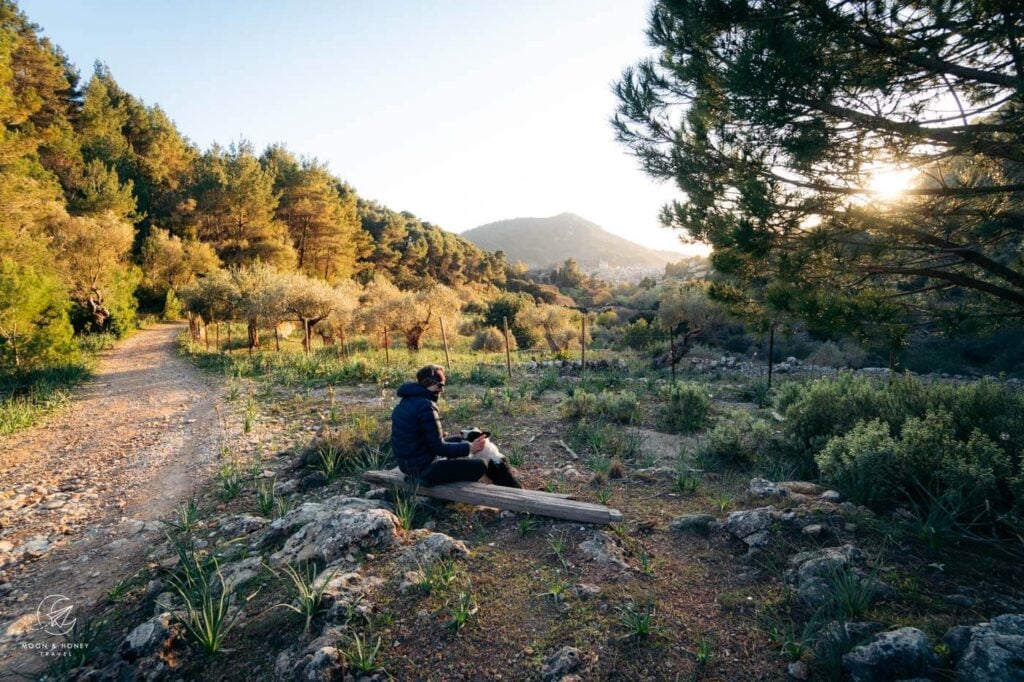 Valldemossa Hiking Trail, Mallorca