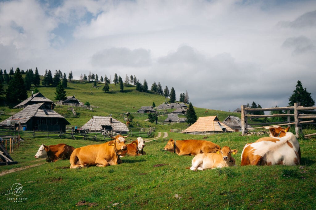 Velika Planina mountain pasture, Slovenia