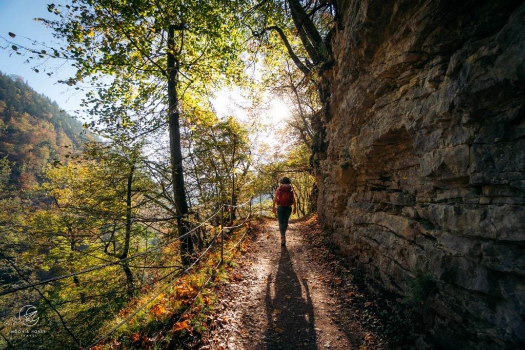 Red Trail Vintgar - Blejska Dobrava, Slovenia