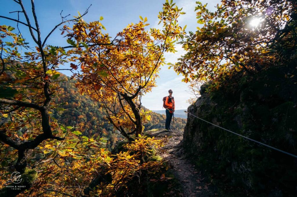 Vogelbergsteig Hike, Wachau Valley, Austria