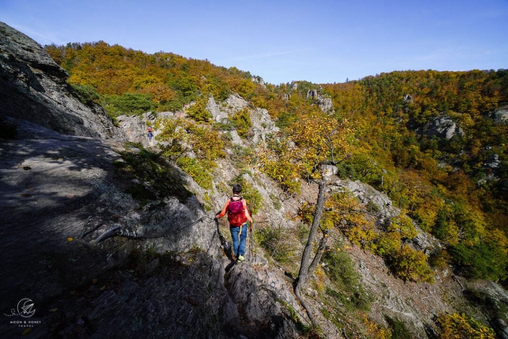 Vogelbergsteig Trail, Wachau, Austria