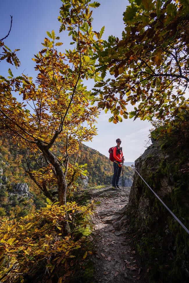 Vogelbergsteig Fixed Cables, Wachau, Austria