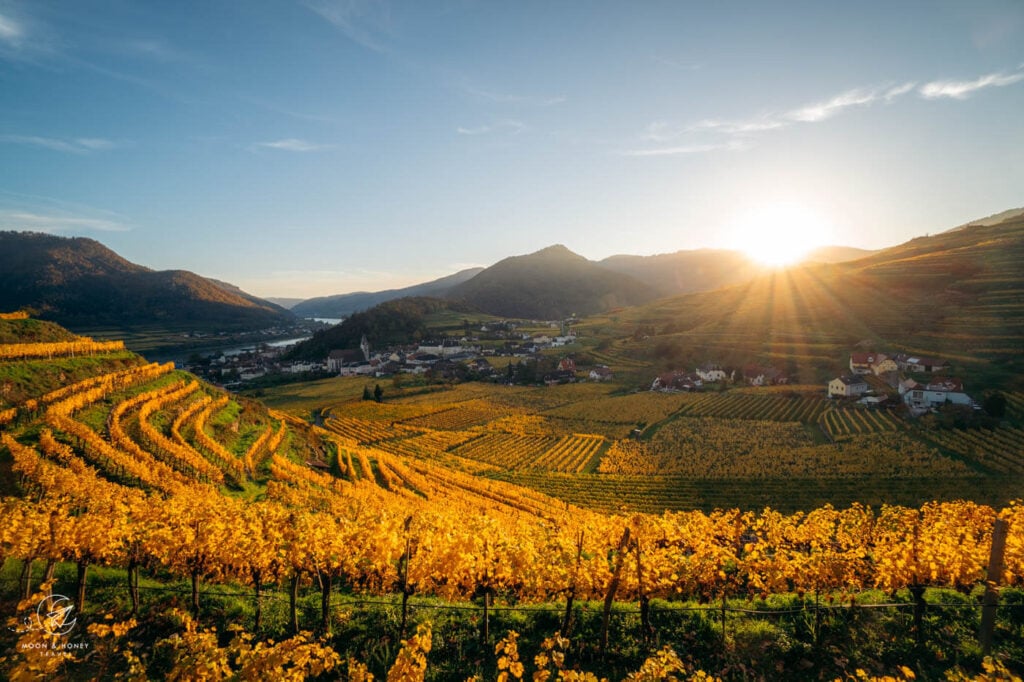 Rotes Tor Viewpoint in Spitz, Wachau Valley, Austria