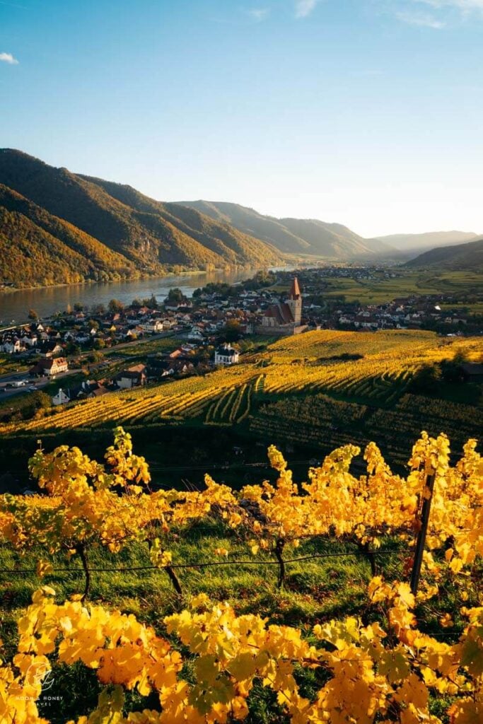 Weißenkirchen in der Wachau, Wachau Valley, Austria