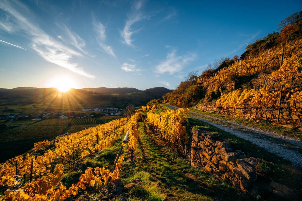 Wachau Valley Vineyard Trail, Austria