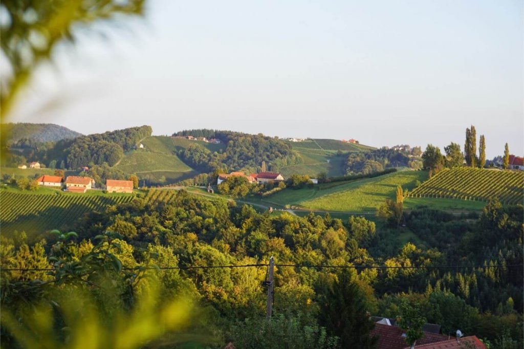 Rollende Weinberge in der Südsteiermark, Österreich