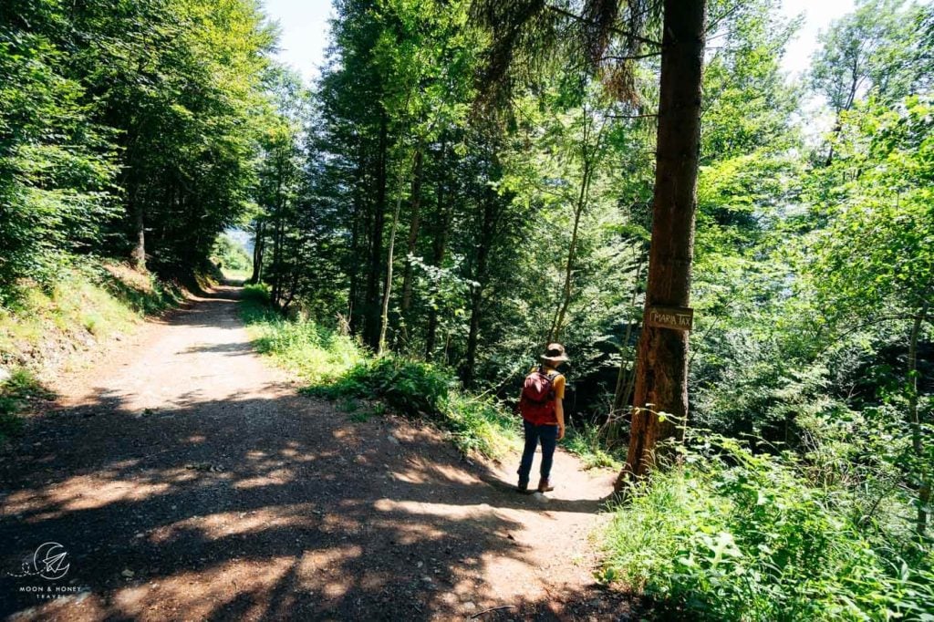 Maria Tax hiking trail back to Stans, Tyrol, Austria