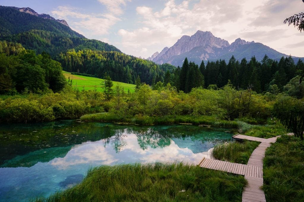 Zelenci, Kranjska Gora