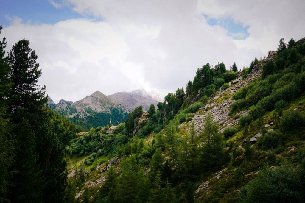 Stone Pine Trail, Easy Hike near Innsbruck, Austria