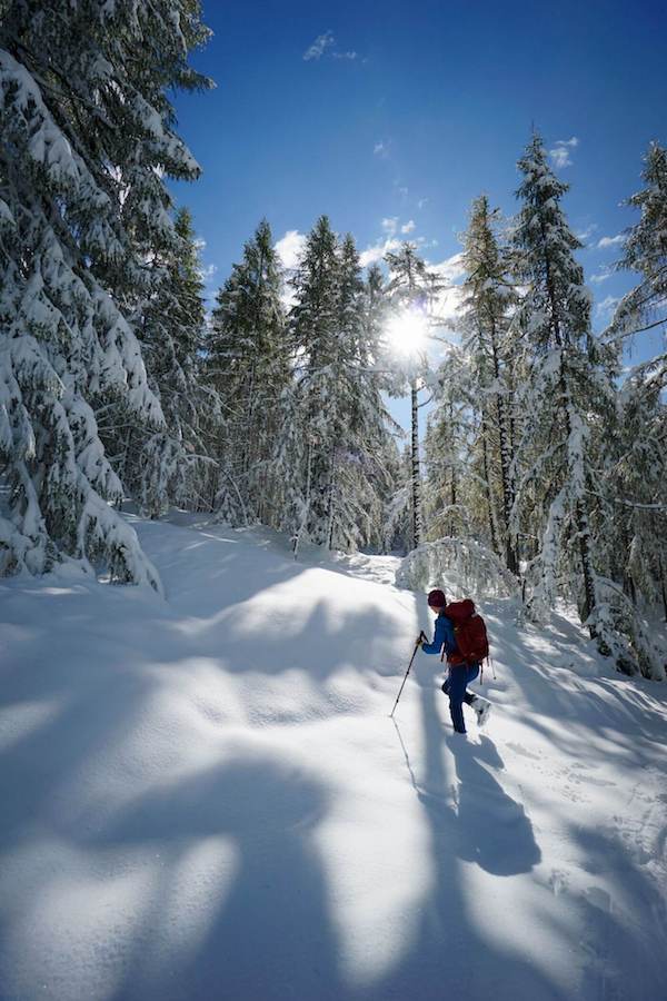 Path of the Larches, Alta Badia, Dolomites